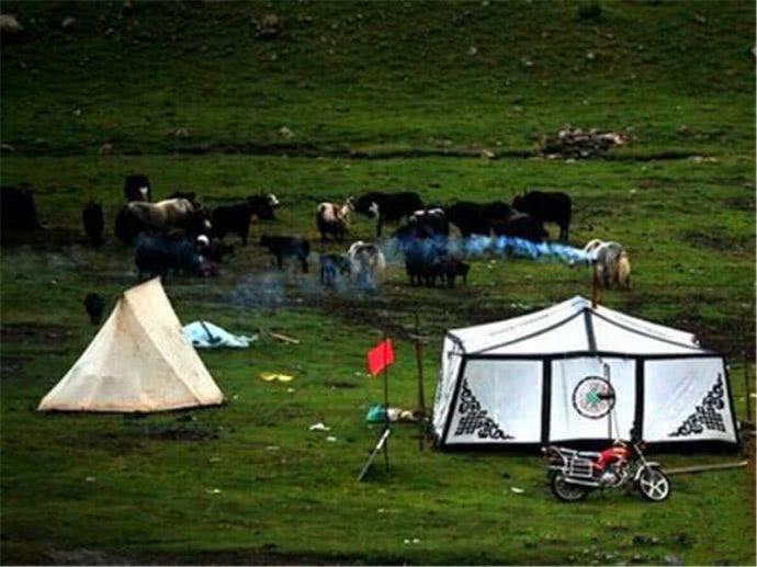 『西藏』去西藏看到白色帐篷千万别进，尤其是单身男性，很有可能出不来