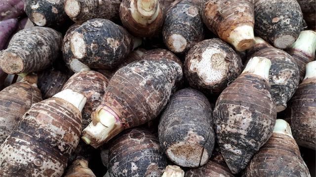 英国短毛猫|男性152-188cm标准体重对照表，若达标，或许你很瘦，无需减肥