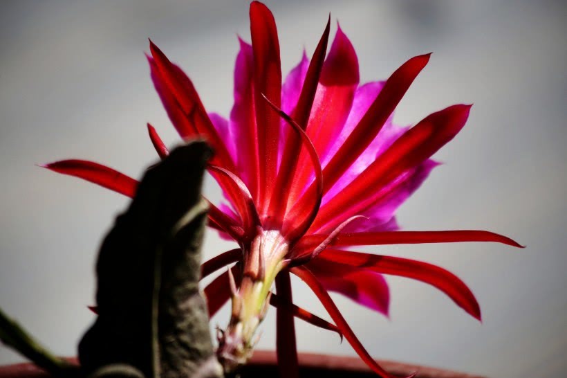 【运势】4月财路大开，贵人扶持，发财的潜力巨大，聚财能力一流的四属相