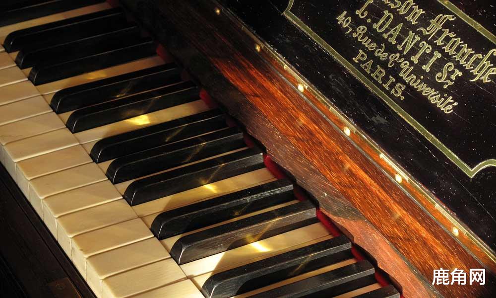 象牙|象牙到底珍贵在哪里？为什么总是有人购买象牙？