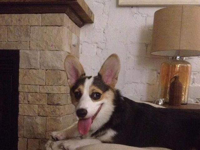 |参观袁立住的豪宅，日常在家都吃面包咖啡，生活习惯像个外国人