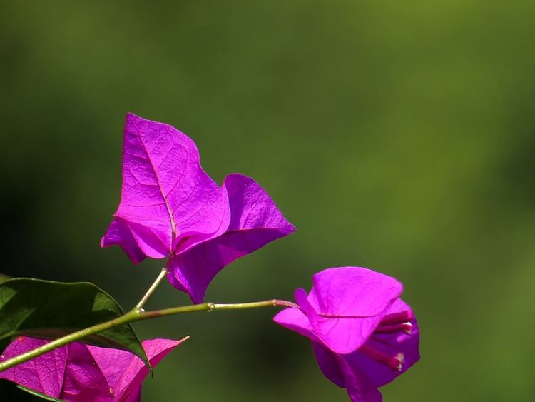 旧爱|10月，前缘奇袭，旧爱回头来认错，同意复合重新开始的4大星座