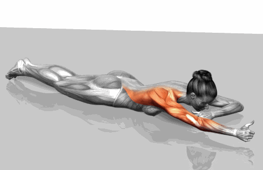 #哑铃#这是最全的训练图了，看完你就知道每一块肌肉改怎么练了