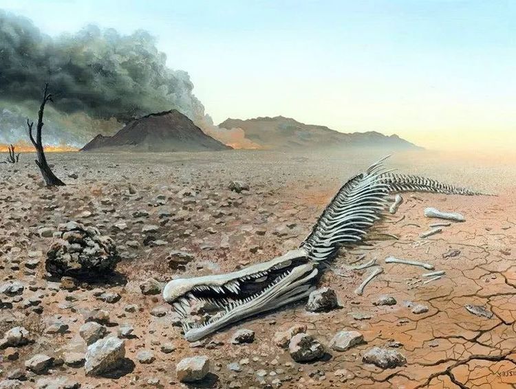 恐龙|灭绝3万年生物重现，不止一例，为何消失已久物种能再次出现