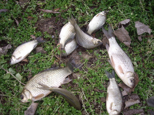 皮划艇|冬天到了，鱼难钓，怎么办？说说我的方法