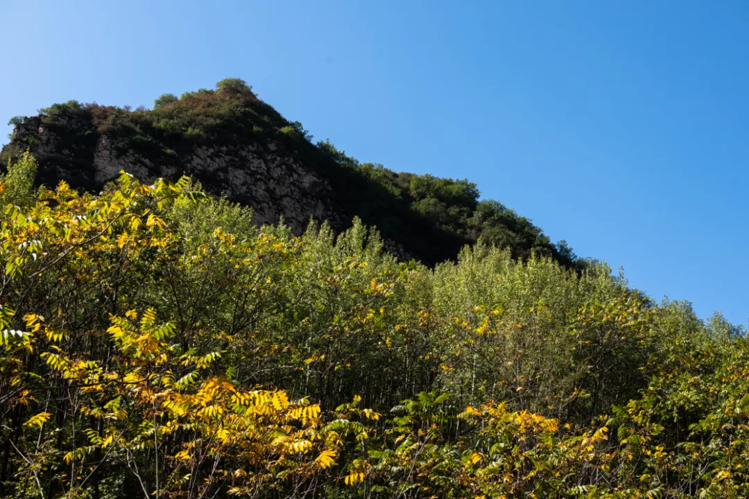 延庆|别找了，京郊 “赏秋最佳景观位”在这里！