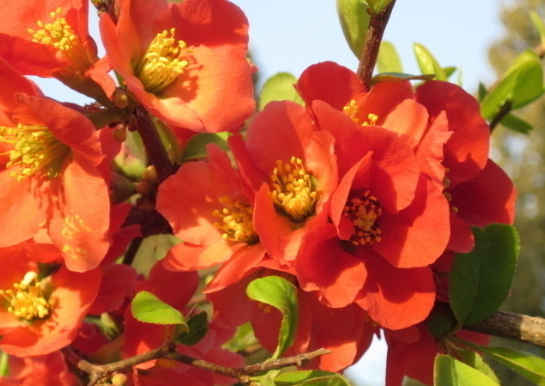 「运势」5月10号开始，4属相吉星庇佑，正财大旺，横财连发，喜事临门