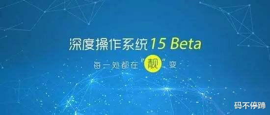 |国内电脑市场,盗版windows系统横行,微软为什么不追究?