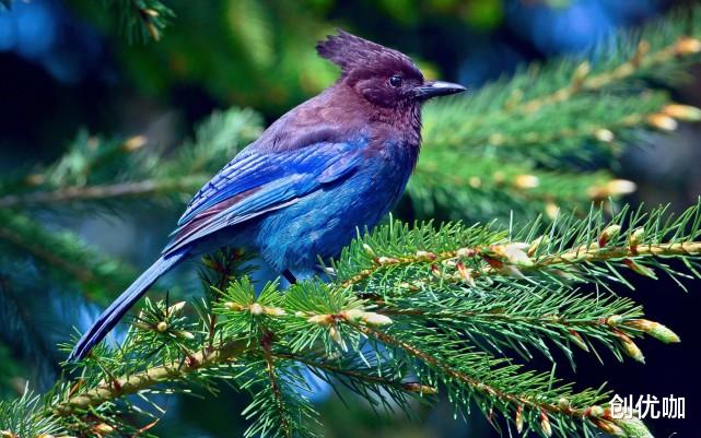 旧爱|11月底，温情已逝，爱意了断，将忘却旧爱，开始新爱情的3个星座