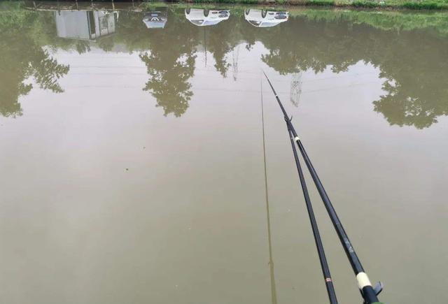 退休|钓鱼,竿尖为什么压入水中?入水多少合适?