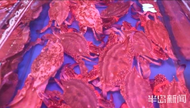 半岛新闻客户端|螃蟹50元、大海螺45元！记者走市场逛码头，青岛最“鲜”海货价格表来了