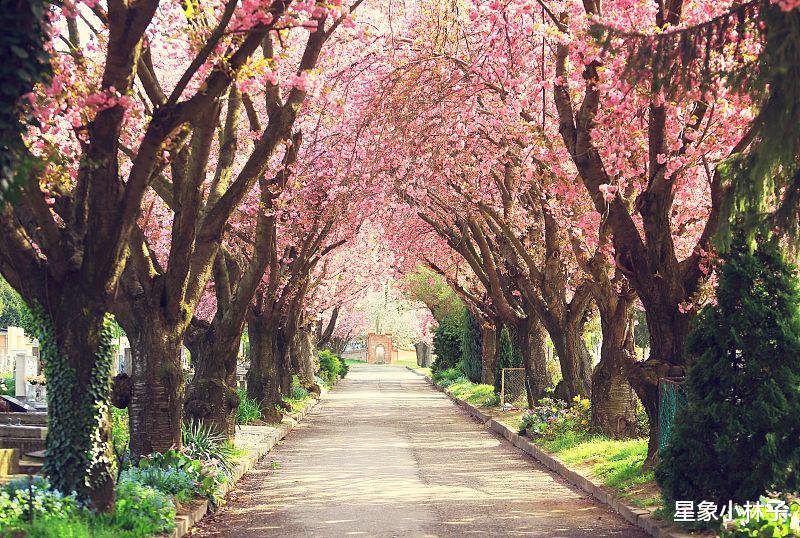 天蝎座|10月末11月初, 不忘初心, 念念不忘, 4星座旧情复燃, 再次牵手