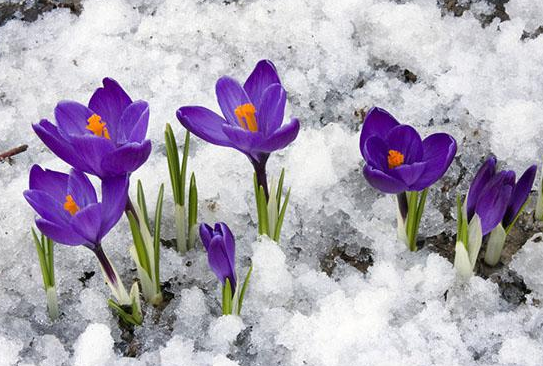 |9月5号之后，4属相福星高照，福气满满，日子越过越红火