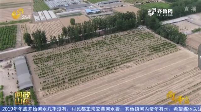 菏泽：建养猪场被“看不见”的规划卡住，局长对养殖户撂狠话：只要动工我就查你