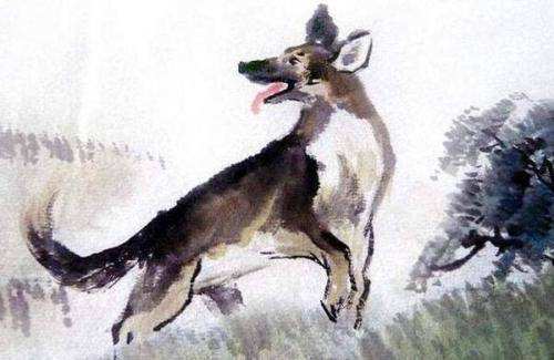 「生肖」算命的说,6月横财天降,亿万财富到家,接住福一生的3生肖