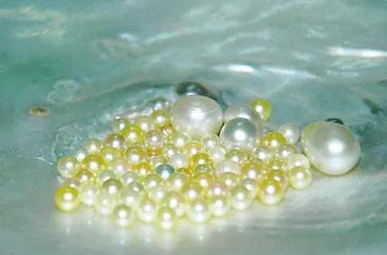 好消息，北海7个项目入围第五批市级“非遗”名录！