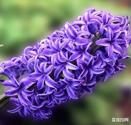 |出生于哪些日子，注定年轻时期要吃苦头，中年以后尝到甜头！