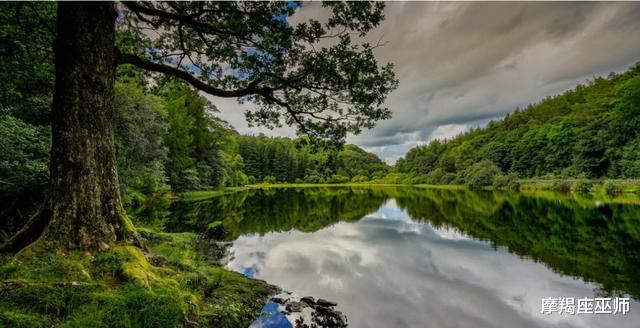 柳暗花明|11月，一日不见，望眼欲穿，柳暗花明，爱情出现转机，破镜重圆