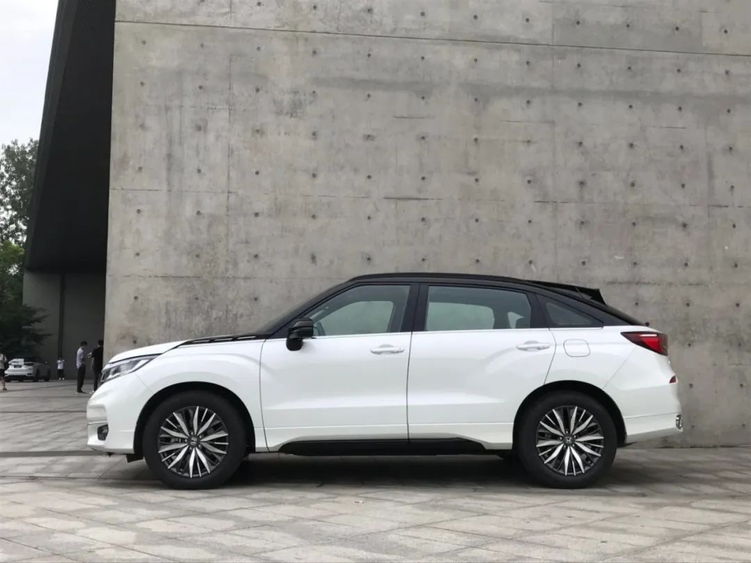 冠道|冠道为什么就成功了？