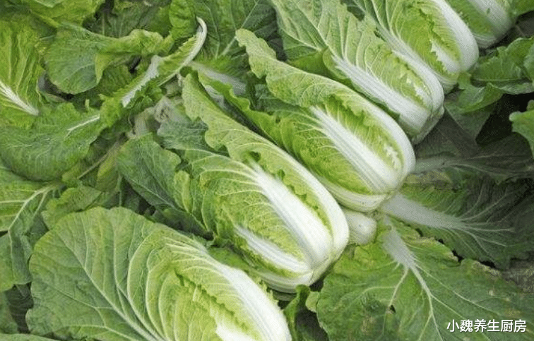 大白菜|买大白菜时，挑黄的好还是绿的好？菜农教您一招，以后别再乱买了