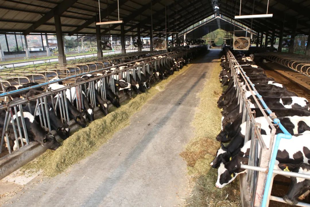 广州普法|开学了！广州“小神兽”火了！200多万网友围观，直呼烧脑……