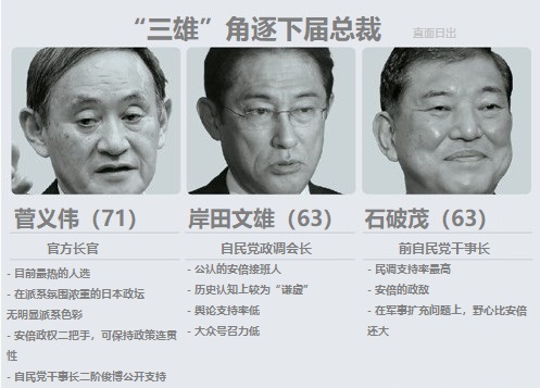 日本自民黨簡化投票方式選出新總裁 菅義偉優勢凸顯-圖4