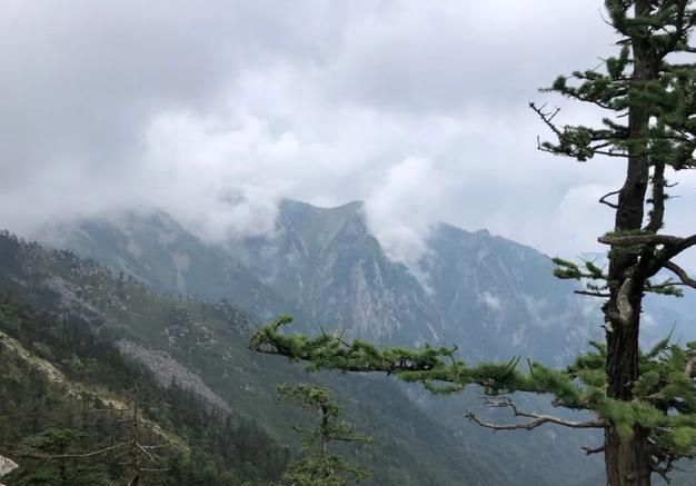 [陕西]陕西“天然空调城”，夏季凉快得无与伦比！县城海拔跟泰山顶一样