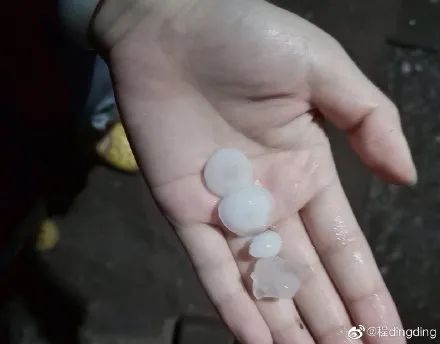 冰雹@河北昨晚的冰雹有多大?超过鸡蛋!不让西红柿!进来看……