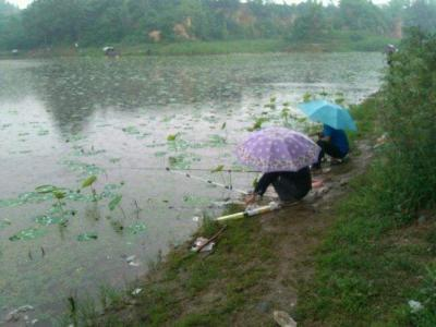 捕鱼|下雨天真的适合钓鱼吗？鱼真的容易上钩吗？