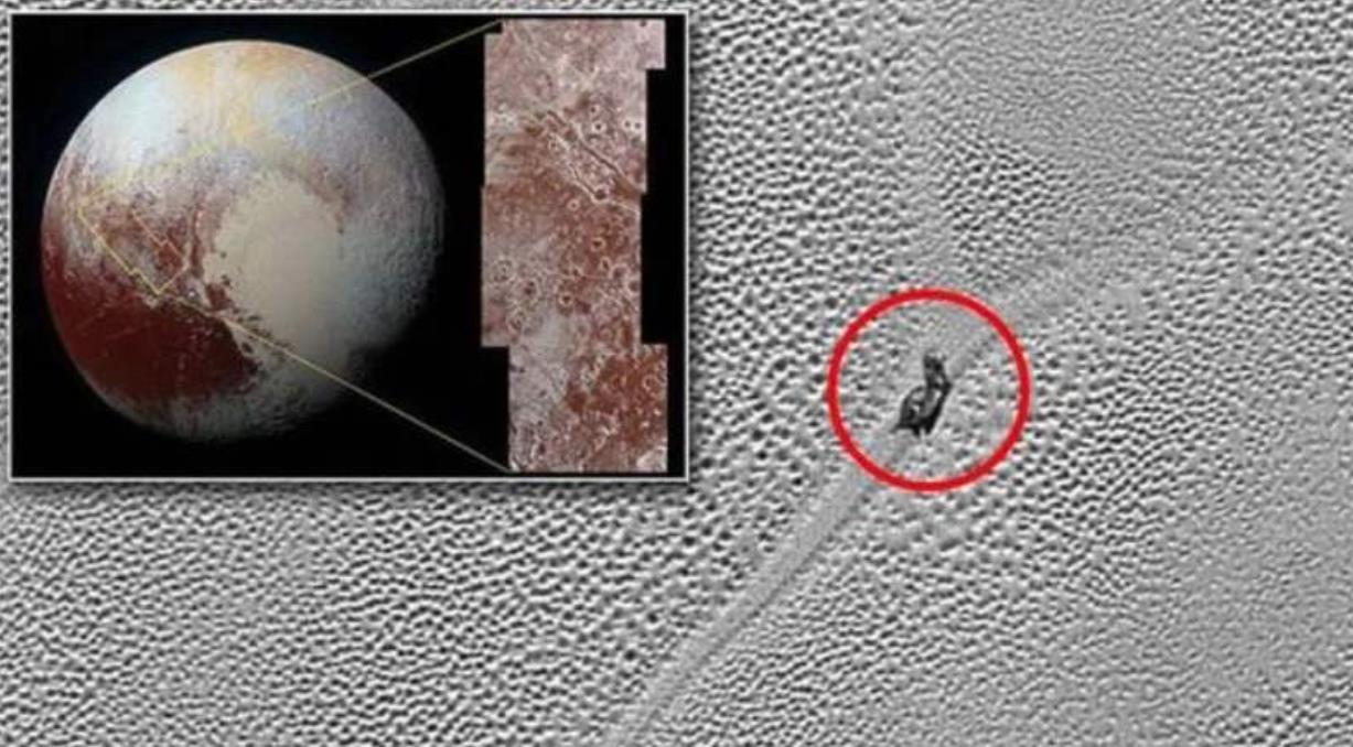 『科学家』太阳系边缘发现生命痕迹，一只大象般的蜗牛，科学家为此吵翻天