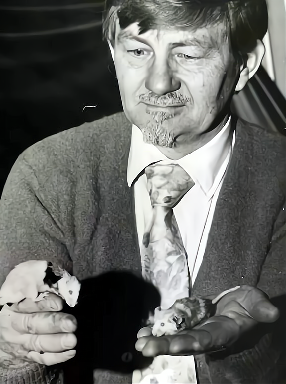 后代|“老鼠乌托邦”，历时1780天的黑暗实验，是否预示了人类的未来？