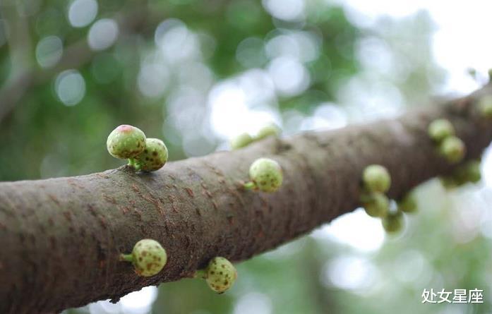 「生肖」未来一月， 这3生肖偏财运最旺，你家有吗？