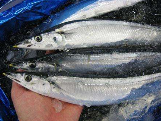 秋刀鱼■?会吃鱼的人,专买这5种鱼!营养高还不贵,关键都是野生的,好吃