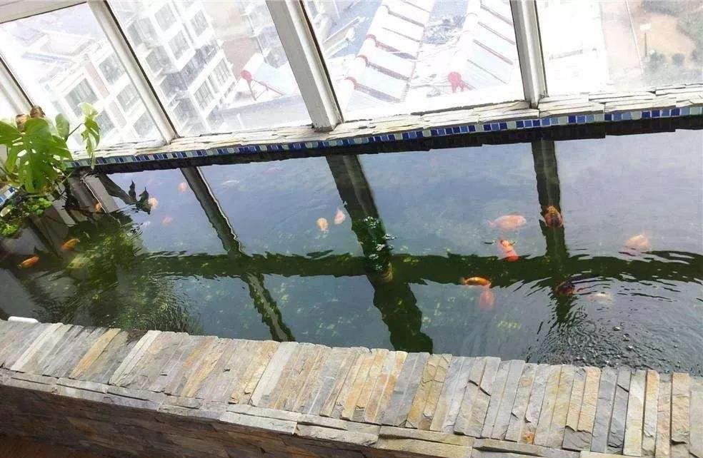 |物业管的宽，阳台护栏外有20公分水槽，不让封！改成鱼池看谁还管
