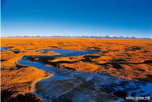 「西藏」为何不允许游客前往可可西里无人区？看完你就懂了
