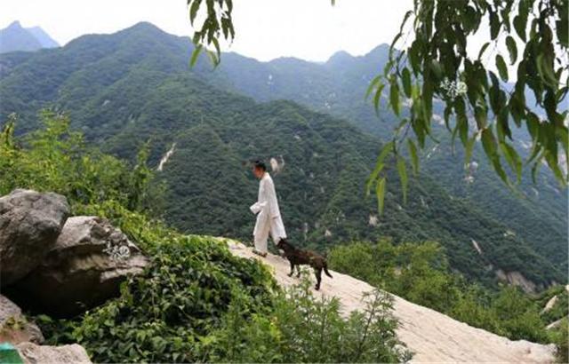 臆说古史|26岁小伙隐居南山,却被父亲一脚踹了回去:没钱,别学陶渊明