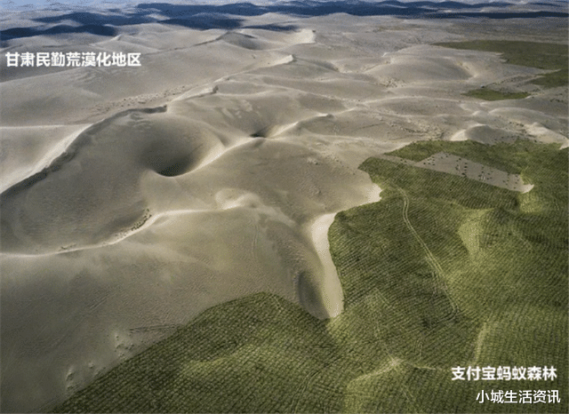 #蚂蚁森林#马云花“天价”打造的蚂蚁森林，如今3年过去了，竟变成这般模样