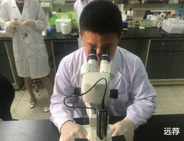 陈灵石|陈灵石研究癌症算啥啊！更有“神童”远赴南极研究抗辐射物质！