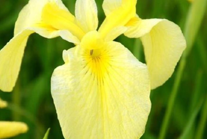 生肖|九月下旬开始，财神入门，横财连发，贵人辅佐的生肖