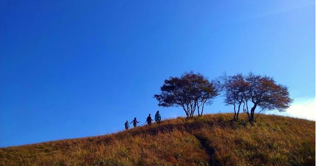 「生肖」5月29号财运爆棚，钞票如雨，富贵大发就是50年，大富特富的3生肖