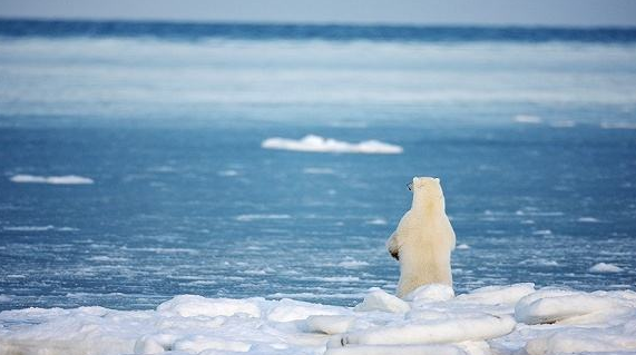 ▲地球正在发生巨变！三分陆地七分海洋将成过去，地球环境岌岌可危