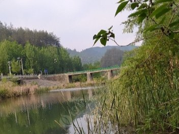 「」一入钓门深似海，从此贷友是路人