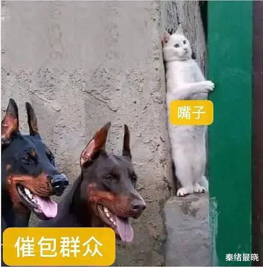 爱马仕|晚晚硬凹富婆人设又遭打脸了？背共享爱马仕，就连晒的豪宅也是……
