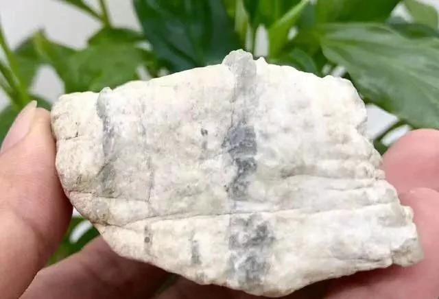 「翡翠」夜市捡漏一块木那翡翠原石毛料，当场开切，瞬间进账百万