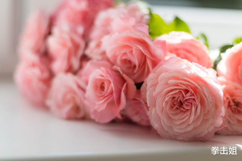 『运势』3大生肖紫气东来，财运红得发紫，做梦都能笑醒！