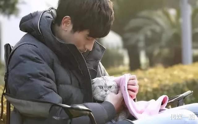 高以翔|高以翔离开366天，那对失去儿子的父母这一年都是怎么挨过来的