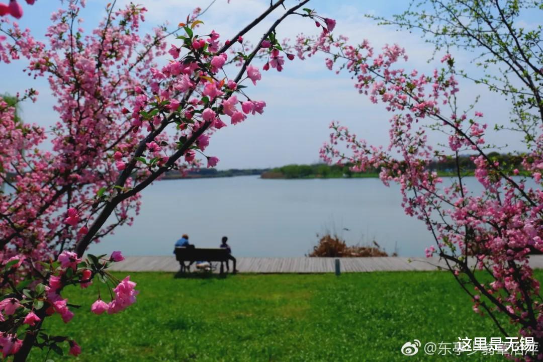 「无锡」无锡藏着一条状元古道，新晋徒步旅游路线，人少、景好、新鲜感足