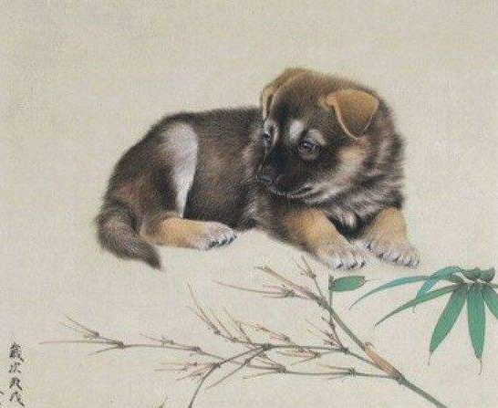 生肖狗 的“大喜”来临！1月财如雨下，你准备好了吗？