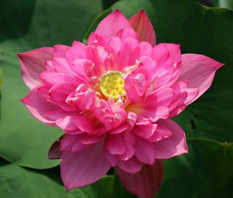 「」阴历此4个月出生，三月享福发大财，走一回偏财大运