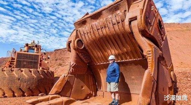 #加拿大#损失超过237亿！加拿大媒体气急败坏：中国不应该放任不管